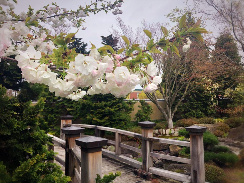 Nishiyama Japanese Garden