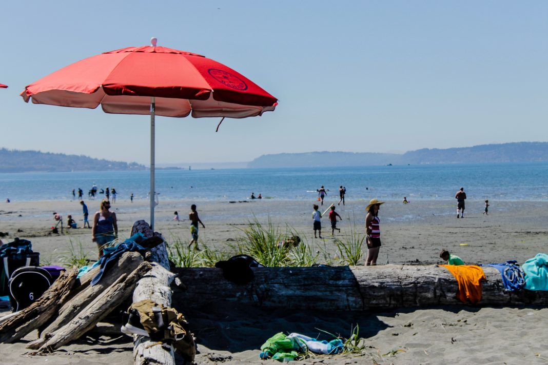 Things to do in Everett Port of Everett Jetty Island