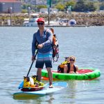 Things to do in Everett Port of Everett paddleboarding