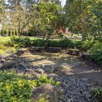 Evergreen Arboretum Seating