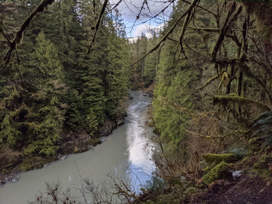 Lime Kiln Stillaguamish River