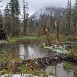 Big Four Beaver Dam
