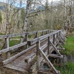 Snohomish County hikes Beaver Lake