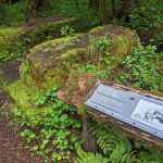 Snohomish County hikes Gold Basin Mill Pond