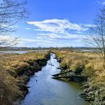 summer events Snohomish County Ebey Waterfront Park