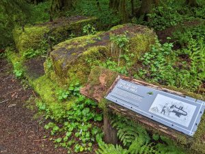 Mount Baker-Snoqualmie National Forest