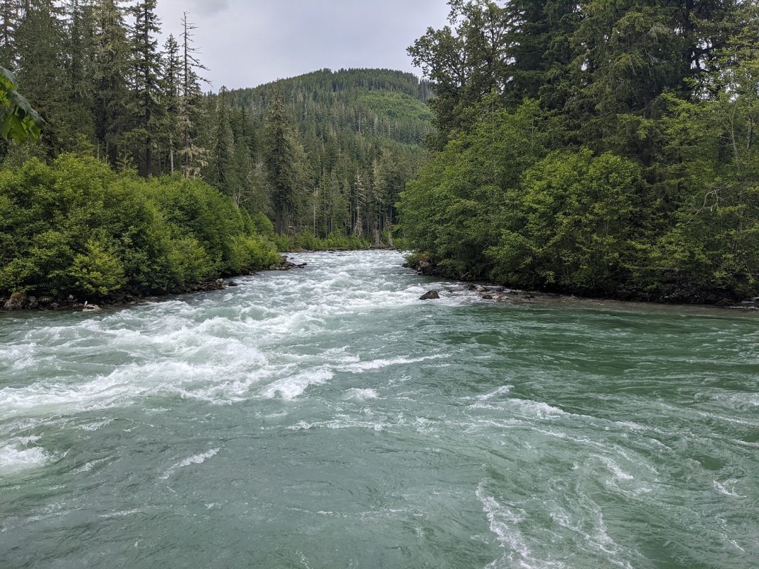 Mount Baker-Snoqualmie National Forest