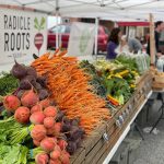 Radical Roots Farm Snohomish Farmers Market