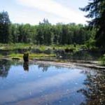 Snohomish County’s equestrian trails Lord Hill Lake Lord Hill Regional Park Equestrian Trails