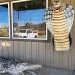 The Reptile Zoo Monroe Greeting Guests