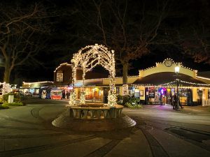 shop local Edmonds