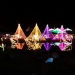 Snohomish County holiday light displays Lights of Christmas Stanwood Lights
