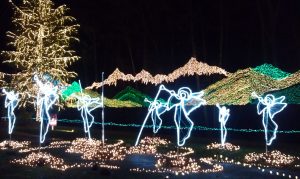 Snohomish County holiday light displays