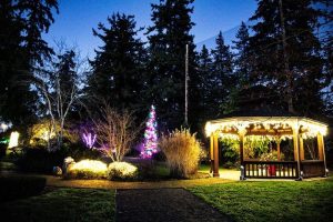 Snohomish County holiday light displays