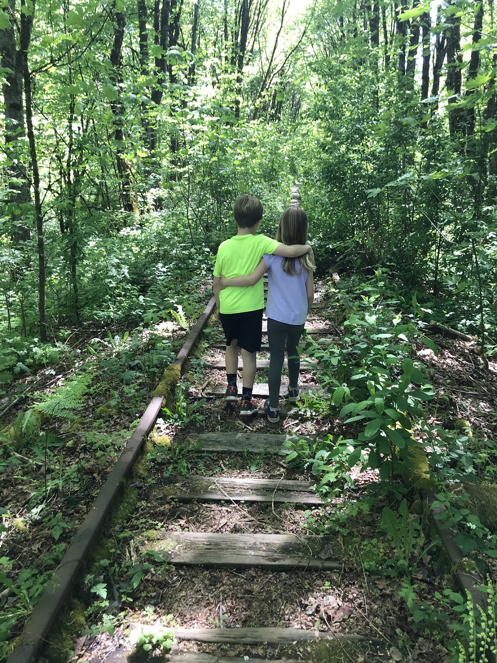 hikes Snohomish County Winter Walking Al Borlin Loop Train Tracks