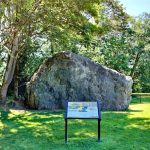 Big Rock Martha Lake Dog Park Snohomish County’s off-leash dog parks