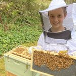 Snohomish Bee Season Boy Beekeeper