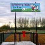 Strawberry Fields Marysville Snohomish County’s off-leash dog parks