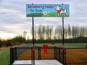 Snohomish County’s off-leash dog parks