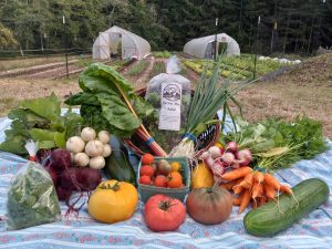 Snohomish County's Farmers Markets