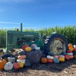 Carleton Farm Lake Stevens Pumpkin Patches Snohomish County