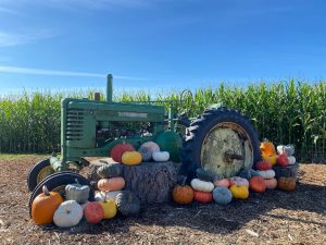 Snohomish County pumpkin patches
