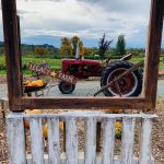 Legacy Farm Monroe Snoho Pumpkin Patches