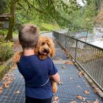 Mountain Loop Highway Granite Falls boy and dog