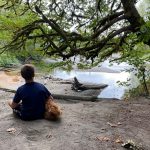 Mountain Loop Highway River Meadows Park Boy and Dog Sitting on Sauk River