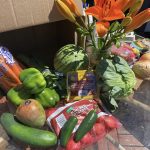 Produce Modest Family Solutions Free Food Market Snohomish