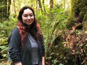 Mushroom Picking Olympia