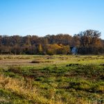 Billy Frank Jr. Nisqually National Wildlife Refuge Grassland-and-Twin-Barns