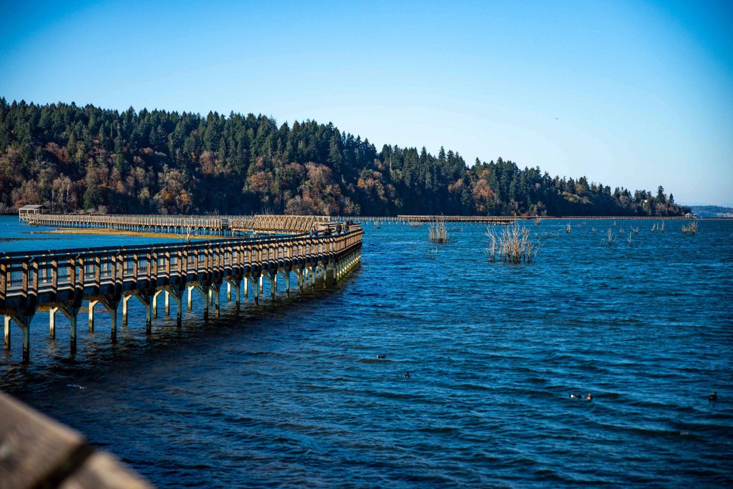 Billy Frank Jr. Nisqually National Wildlife Refuge