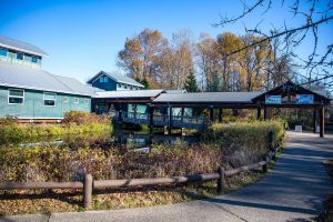 Billy Frank Jr. Nisqually National Wildlife Refuge