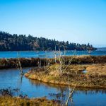 Billy Frank Jr. Nisqually National Wildlife Refuge River-Estuary