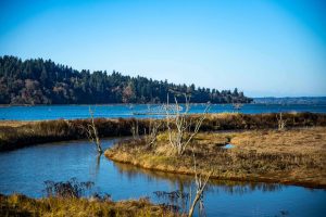 Billy Frank Jr. Nisqually National Wildlife Refuge