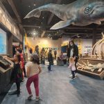 kid fun Snohomish County imagine children’s museum