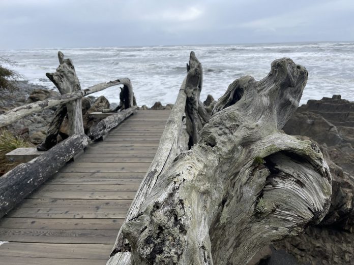 olympic peninsula beaches