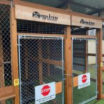Unique Date Nights in Snohomish County Ax Throwing at High Trek