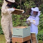 Snohomish County Mead Modern-Day Everett Beekeepers