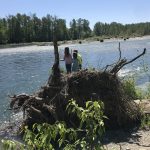 River Walking in Snohomish County Al Borlin Park