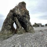 Washington Coastal Marine Sanctuay Ruby Beach