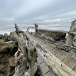 Washington State Marine Coast Sanctuary Beach