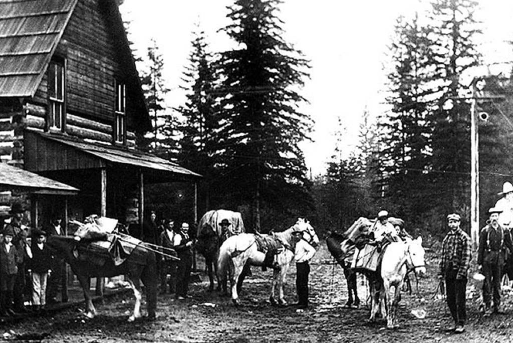 History of the Timber Industry in Darrington