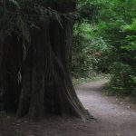 Snohomish County parks mccollum park