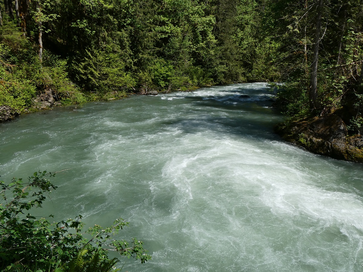 Ranger Hole Duckabush River Olympic Peninsula road trip SnohomishTalk