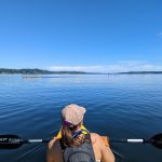 olympia kayak rentals Tugboat-Annies-Sea-Kayaking-Birds