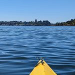 olympia kayak rentals Tugboat-Annies-Sea-Kayaking-Downtown