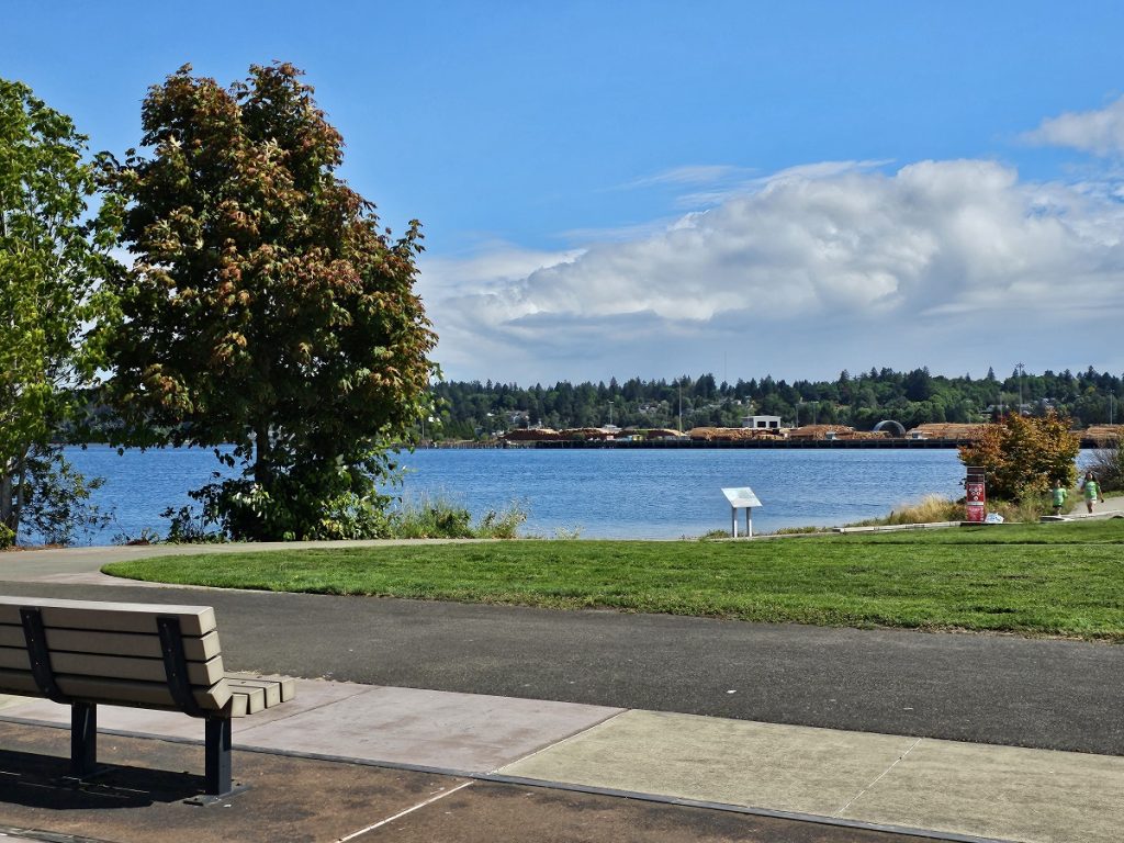 Olympia Washington Kayaking