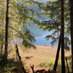 Wynoochee-Lake-Coho-Campground